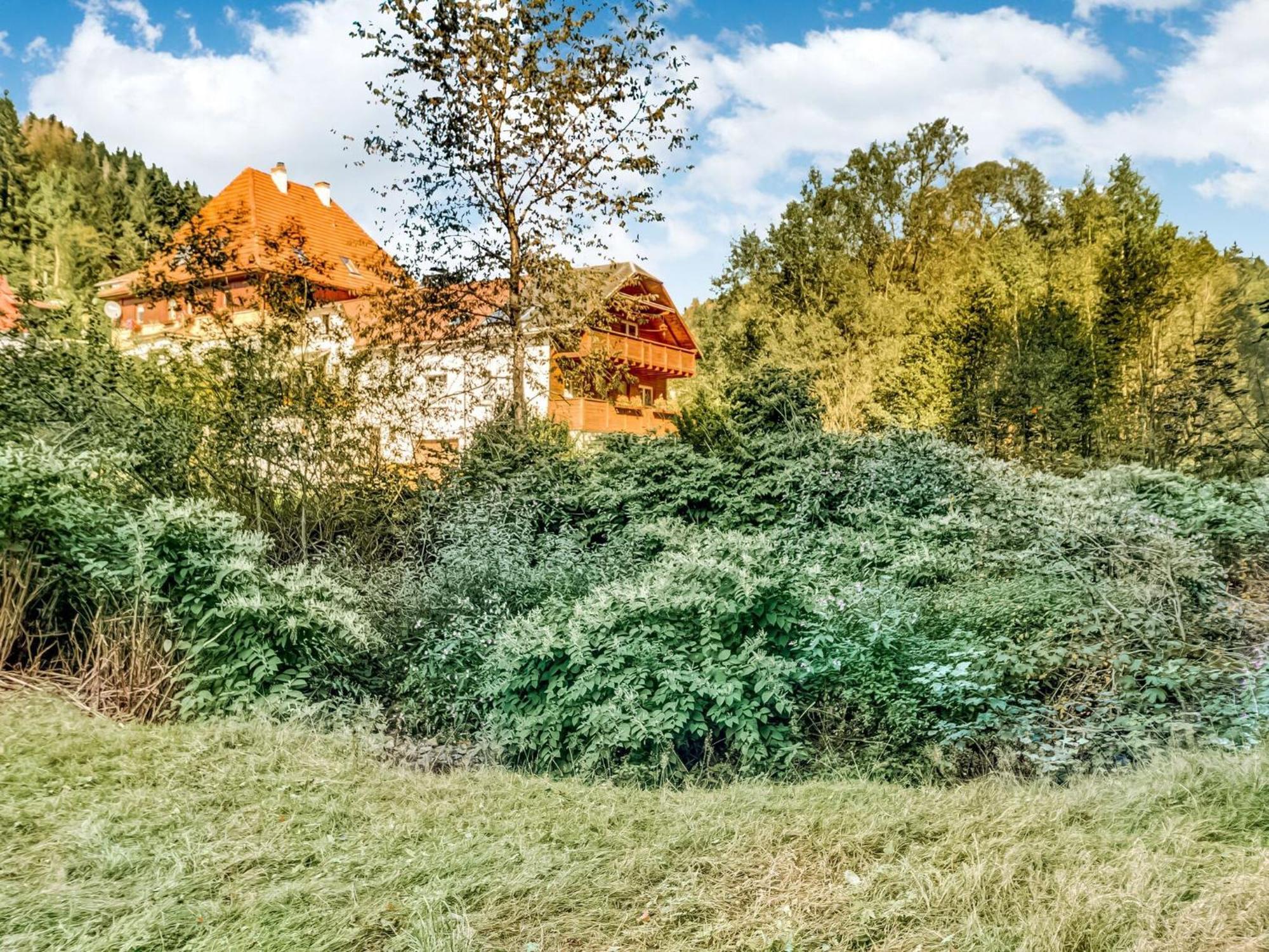 Apartment Thuringian Forest With Balcony Giessubel Ngoại thất bức ảnh