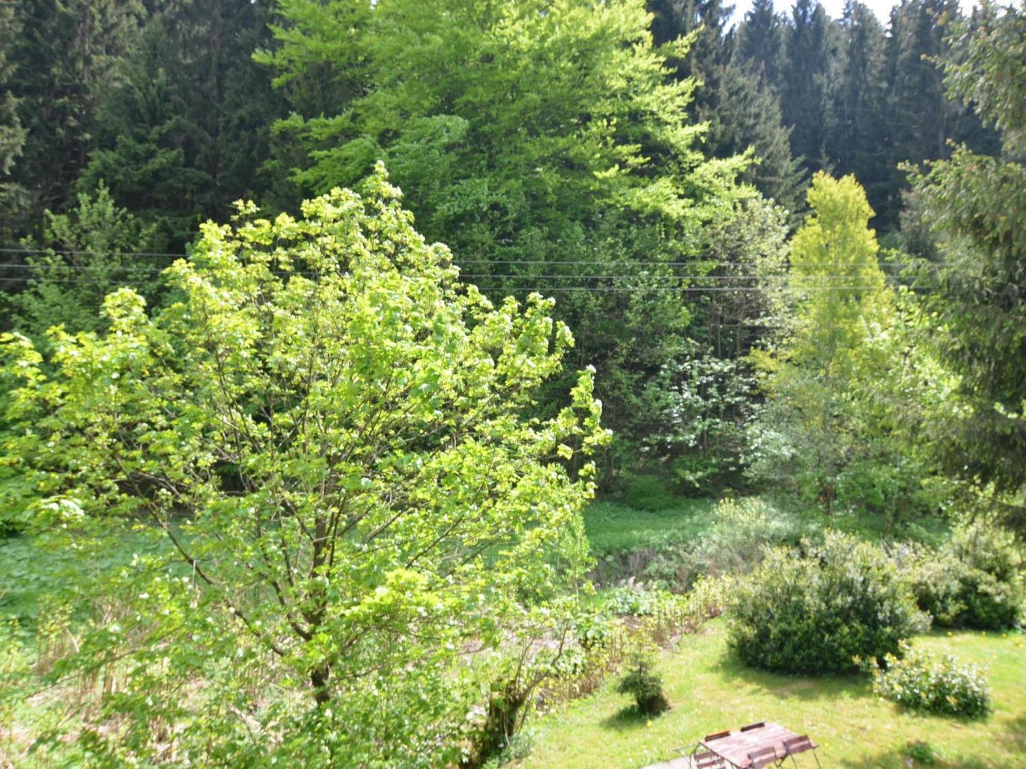 Apartment Thuringian Forest With Balcony Giessubel Ngoại thất bức ảnh